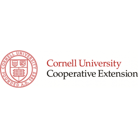 Cornell University